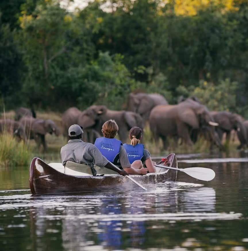 Lower Zambezi Canoe Safari